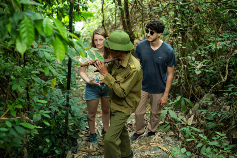 Randonnée Dans La Jungle